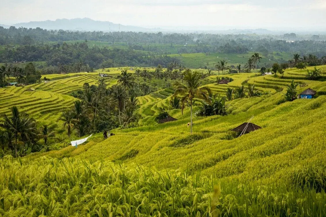 Two-day Bali Trips You Won’t Want to Miss
